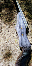 Load image into Gallery viewer, STALKER Archery&#39;s CARNIVORE™ Hybrid Bow
