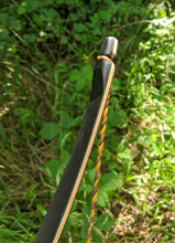 Cargue la imagen en el visor de la galería, STALKER Archery&#39;s CARNIVORE™ Hybrid Bow
