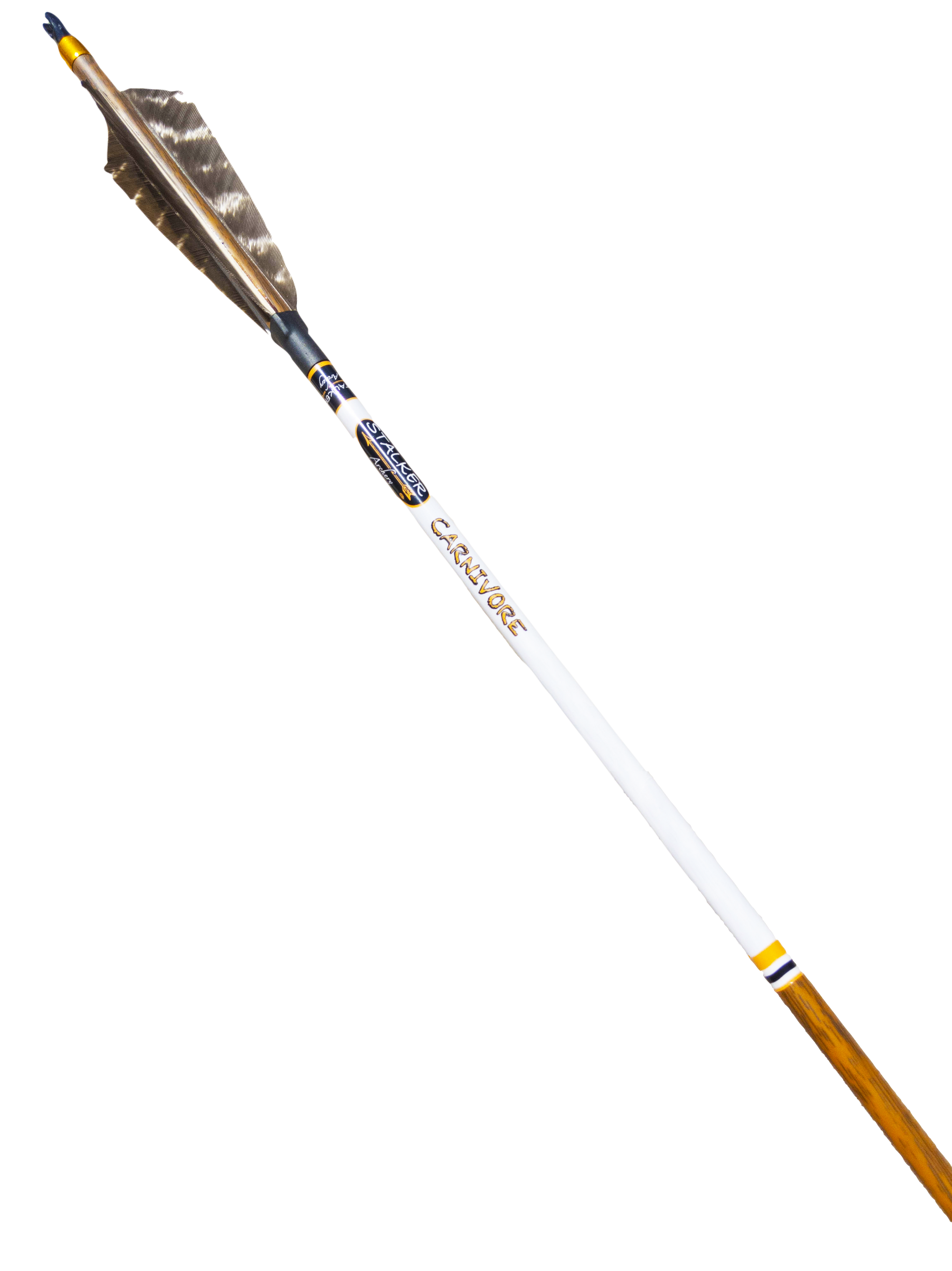 STALKER Archery® Traditional Carbon Arrows 300 Spine 11.6 GPI