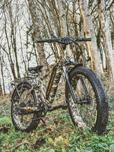 Charger l&#39;image dans la visionneuse de la galerie, STALKER Mad Bike® TRANSHUMANCE - Meilleur vélo électrique pour la Chasse - 750W 48V 13Ah 90Nm
